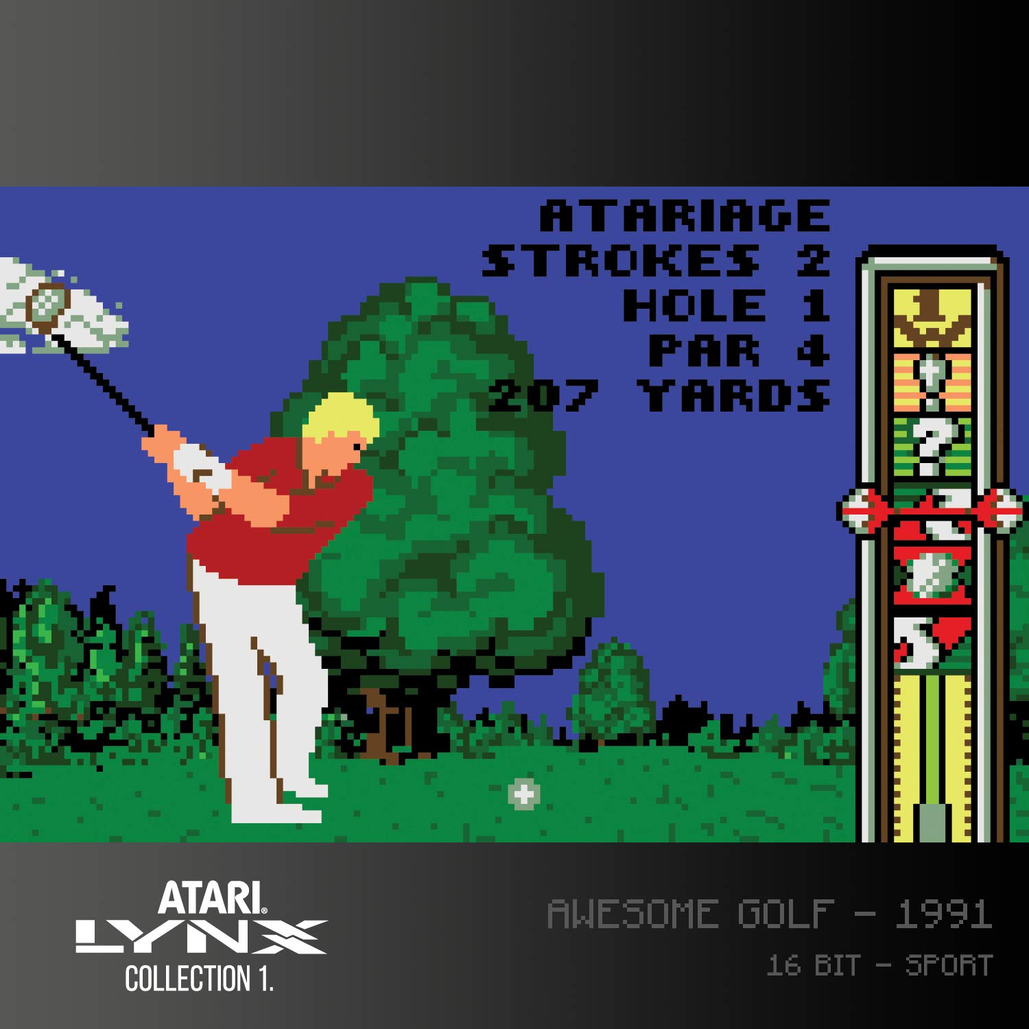 Koch Media Evercade Lynx Collection 1 Cartridge: 17 Klassische Spiele, Schwarz, Atari Lynx, Game Cartridge