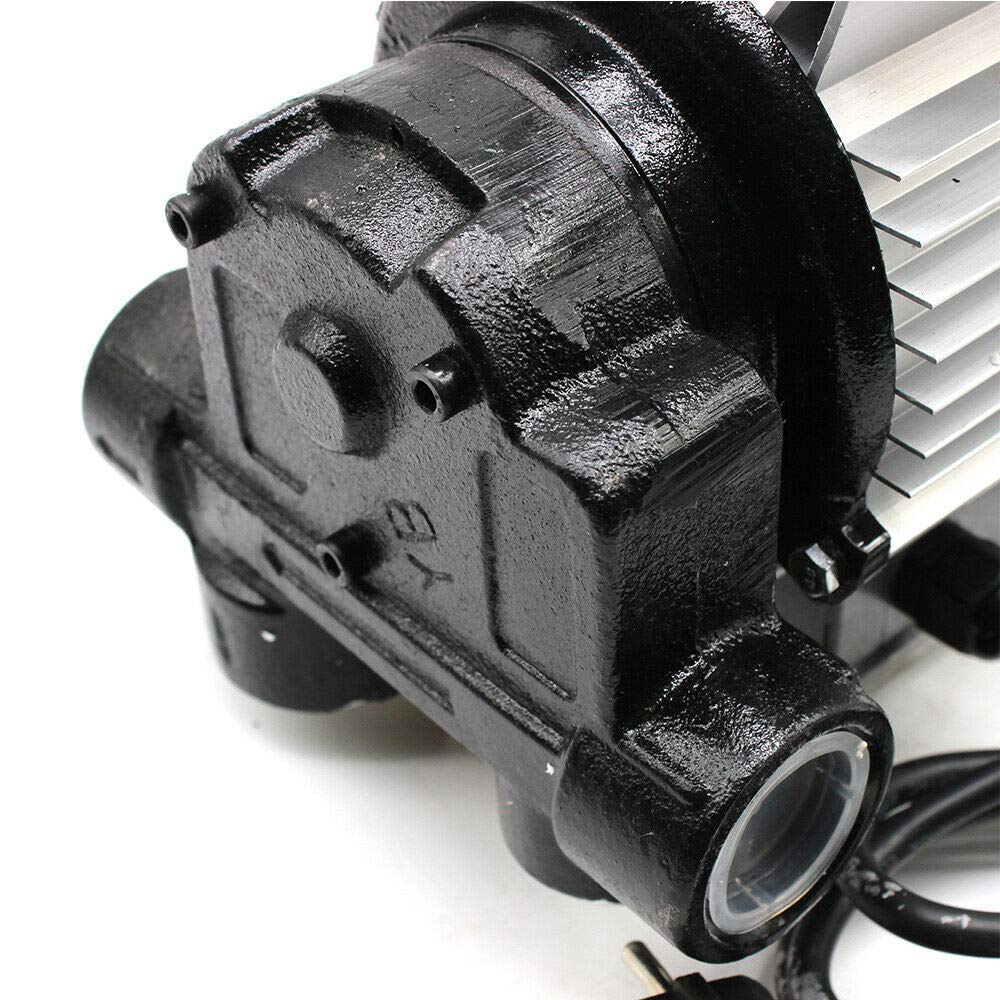Pompa diesel da 550 W, 60 l/min, pompa per olio di riscaldamento, pompa di aspirazione dell'olio, set di accessori (2800 giri/min)