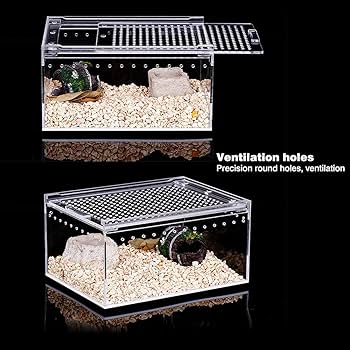 Amazon | 爬虫類 飼育ケース 飼育容器 ケージ 透明 アクリル製