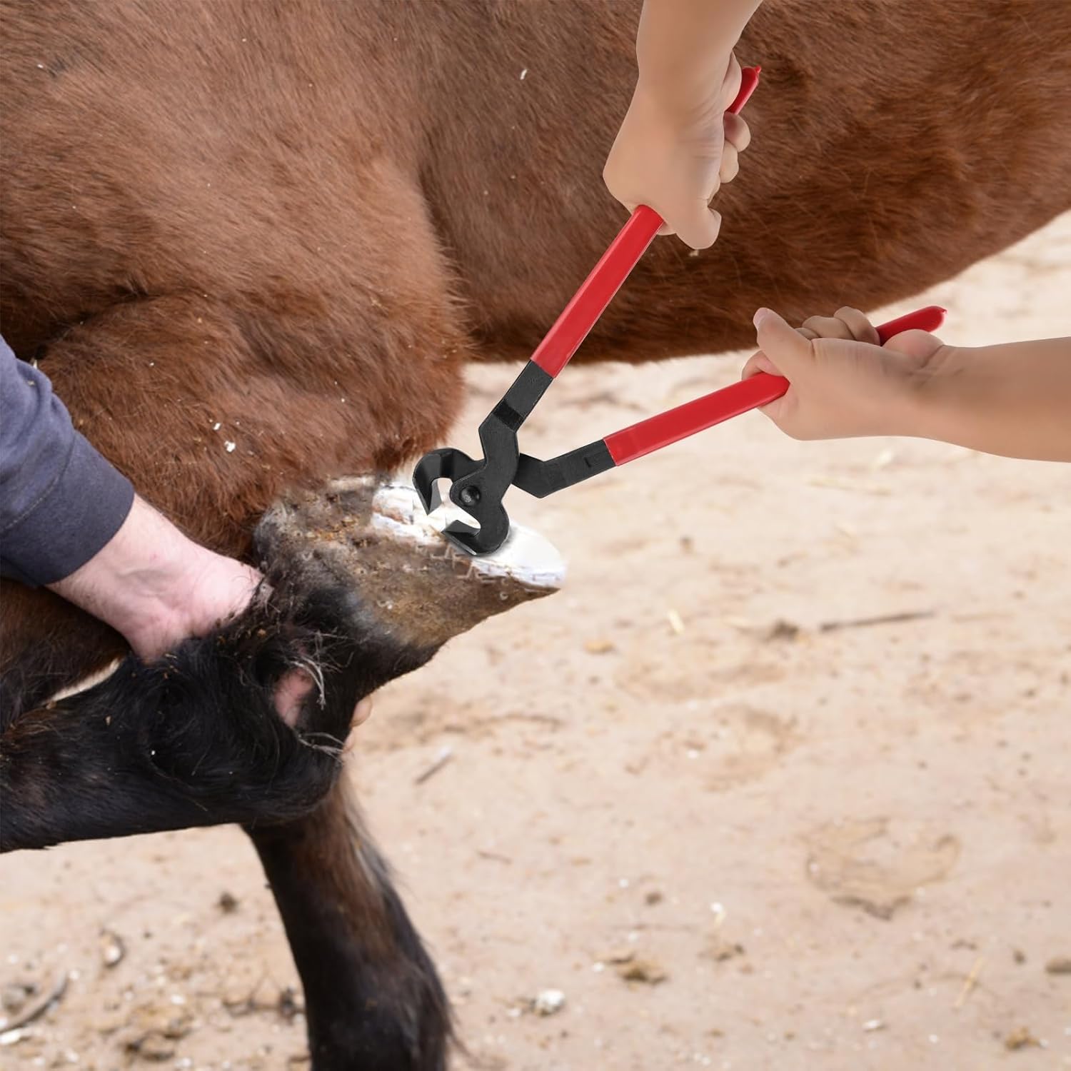 7 PCS Farrier Tool Kits Professional Hoof Trimming Farrier Tools for Horses Cattle Goat Donkey Pig,Includes 14 Inch Hoof Nipper,Hoof Rasp,Hoof Trimmers,Hoof Knife and Brush,Mini Hoof Rasp,Carry Bag