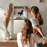 Vista 992 de Razas de Perros 2017