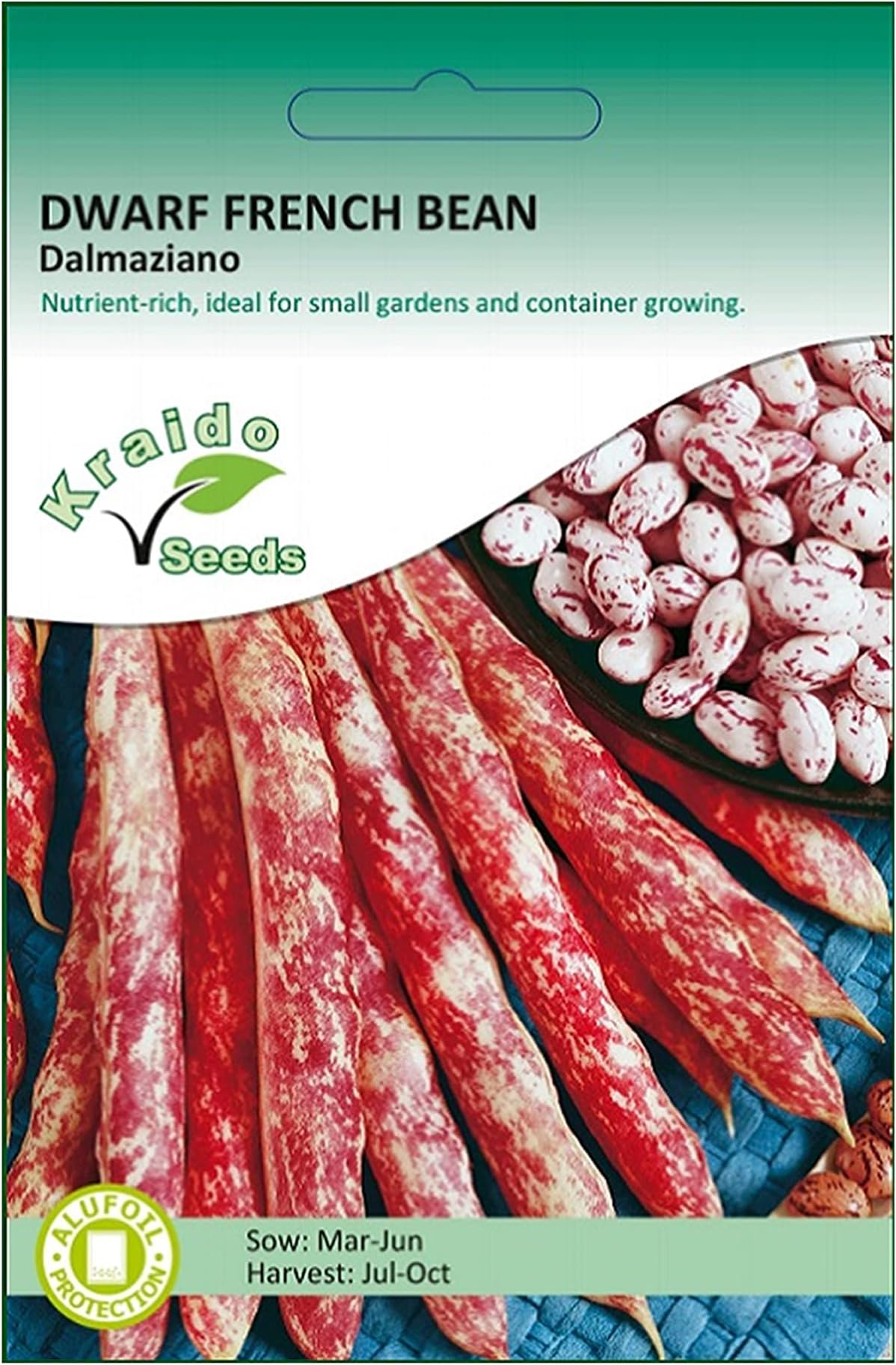 Purple Dwarf French Bean Seeds Dalmaziano Phaseolus Vulgaris 50 Seeds Grow Your Own Vegetables Perfect for Outdoor Growing in Raised Beds or Larger Pots and Containers