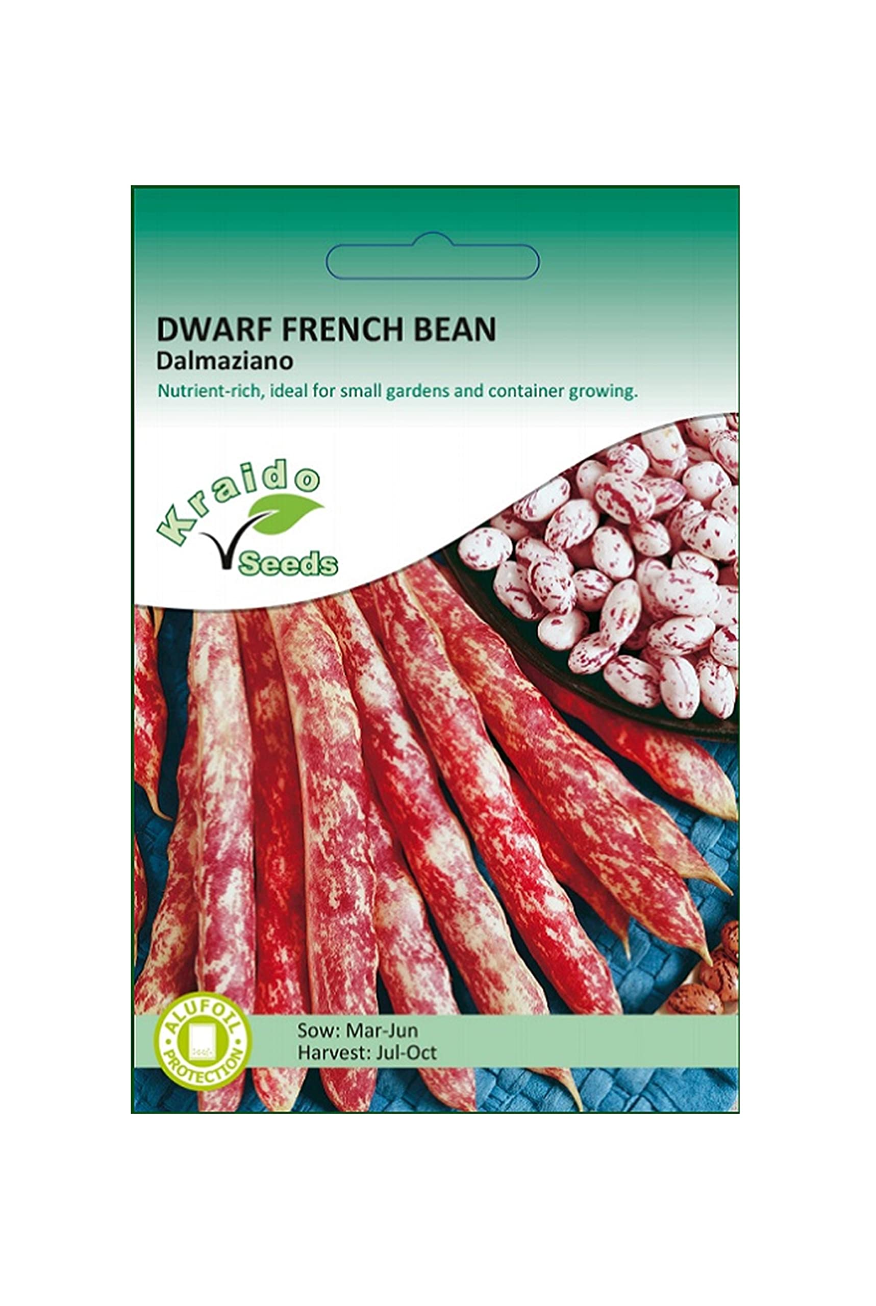Purple Dwarf French Bean Seeds Dalmaziano Phaseolus Vulgaris 50 Seeds Grow Your Own Vegetables Perfect for Outdoor Growing in Raised Beds or Larger Pots and Containers