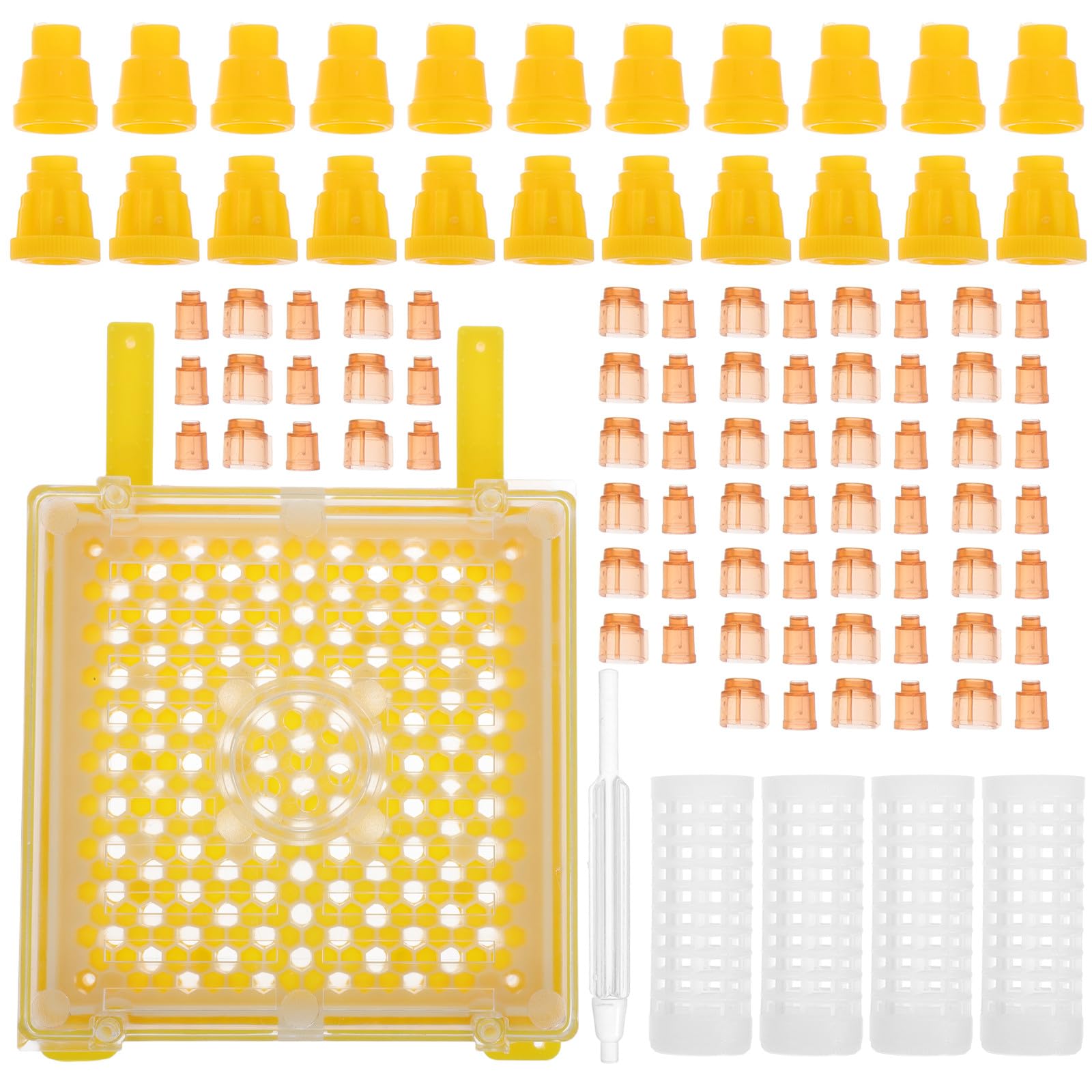 BESPORTBLE 1 Set di Attrezzature per L'allevamento Delle Regine: Kit per Arnia, Attrezzature per La Cura Delle Api, Strumento di Allevamento, Clip per Innesto, Forniture per L'allevamento Regine per