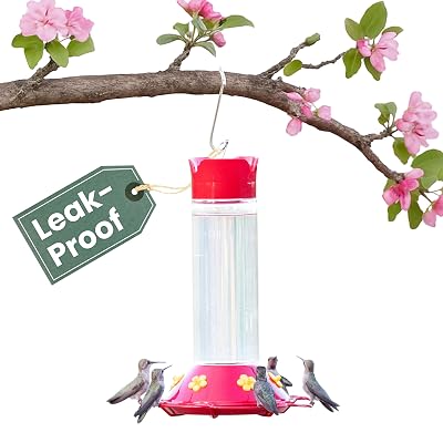 The Decisive Guide to Perky-Pet Outdoor Hummingbird Feeders