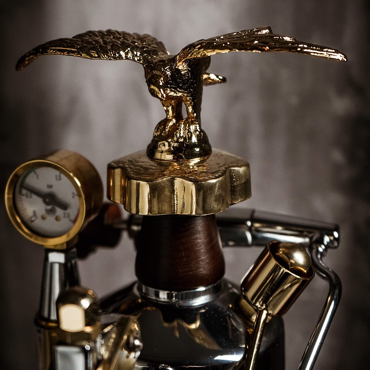 La Pavoni LPLEXP01EU, Macchina espresso Expo 2015, Chrome/or