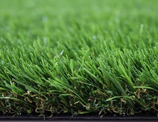 Amazon.es: 100 - 200 EUR - Plantas de exterior / Plantas, semillas ...