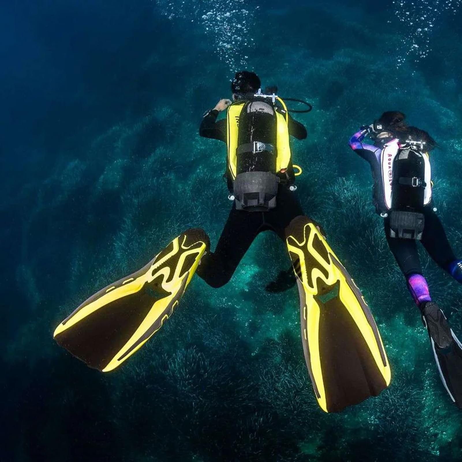 AQUALUNG Phazer Fins uniseks