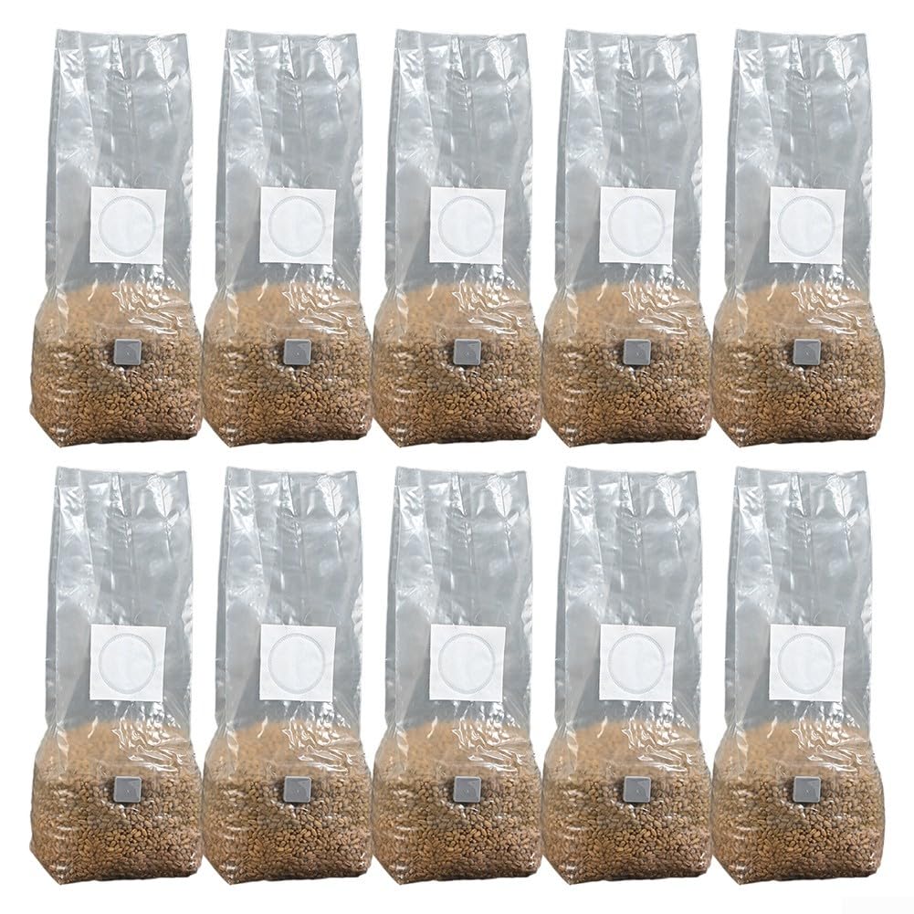 Zilimontt Lot de 10 sacs de culture de champignons stérilisés à haut rendement pour gourmet et champignons, résistants aux températures, 18 x 35 cm