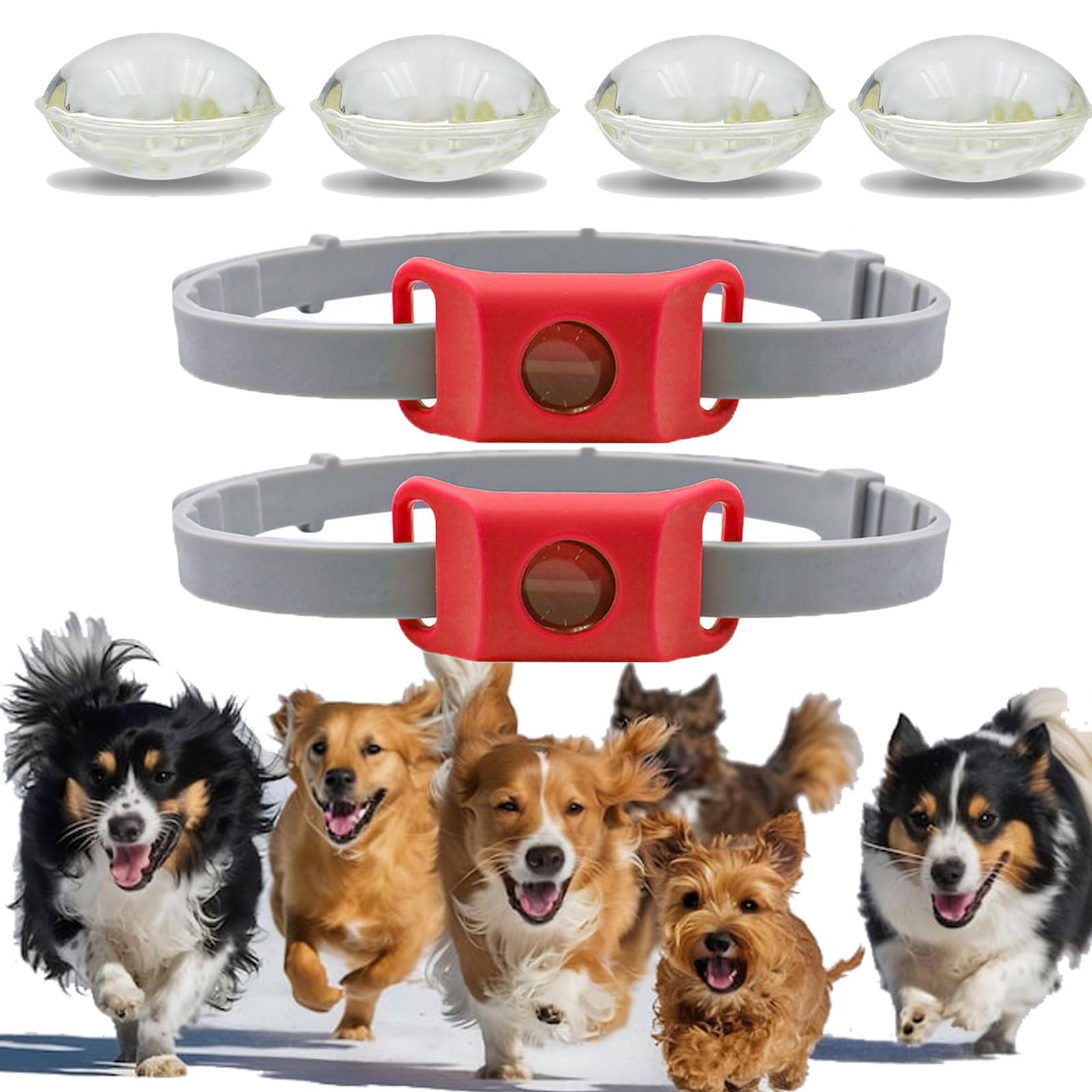 Collier anti-puces chien léger et ajustable - Protégez votre animal pendant le jardinage