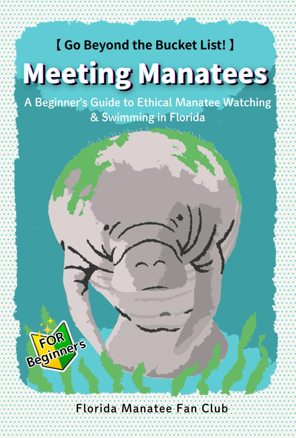 Meeting Manatees: A Beginner's Guide to Ethical Manatee Watching & Swimming in Florida