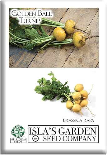 Semillas de nabo Golden Ball para plantar, más de 1000 semillas de reliquia por paquete, semillas de jardín de Isla (semillas de jardín de Isla),