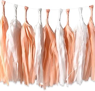 ALLHEARTDESIRES 20PCS Peach Tassel Garland, One Sweet Peach Birthday Party Decor, Peach Baby Shower, Peach First Birthday Backdrop, Peach Bridal Shower Wedding Hanging Décor Supplies, Large