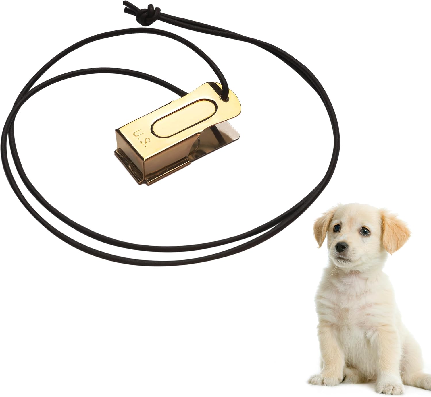 Mythrojan Clicker De Dressage Pour Chien : Guide Complet De Revue Expert Mythrojan Clicker De Dressage Pour Chien : Guide Complet De Revue Expert