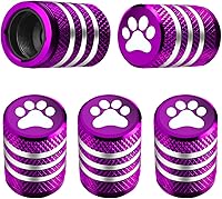 Vista 55 de Tapones para vástago de válvula de neumático, paquete de 5, tapa de aire de neumático N2, metal nitrógeno con forro de plástico, resistente a