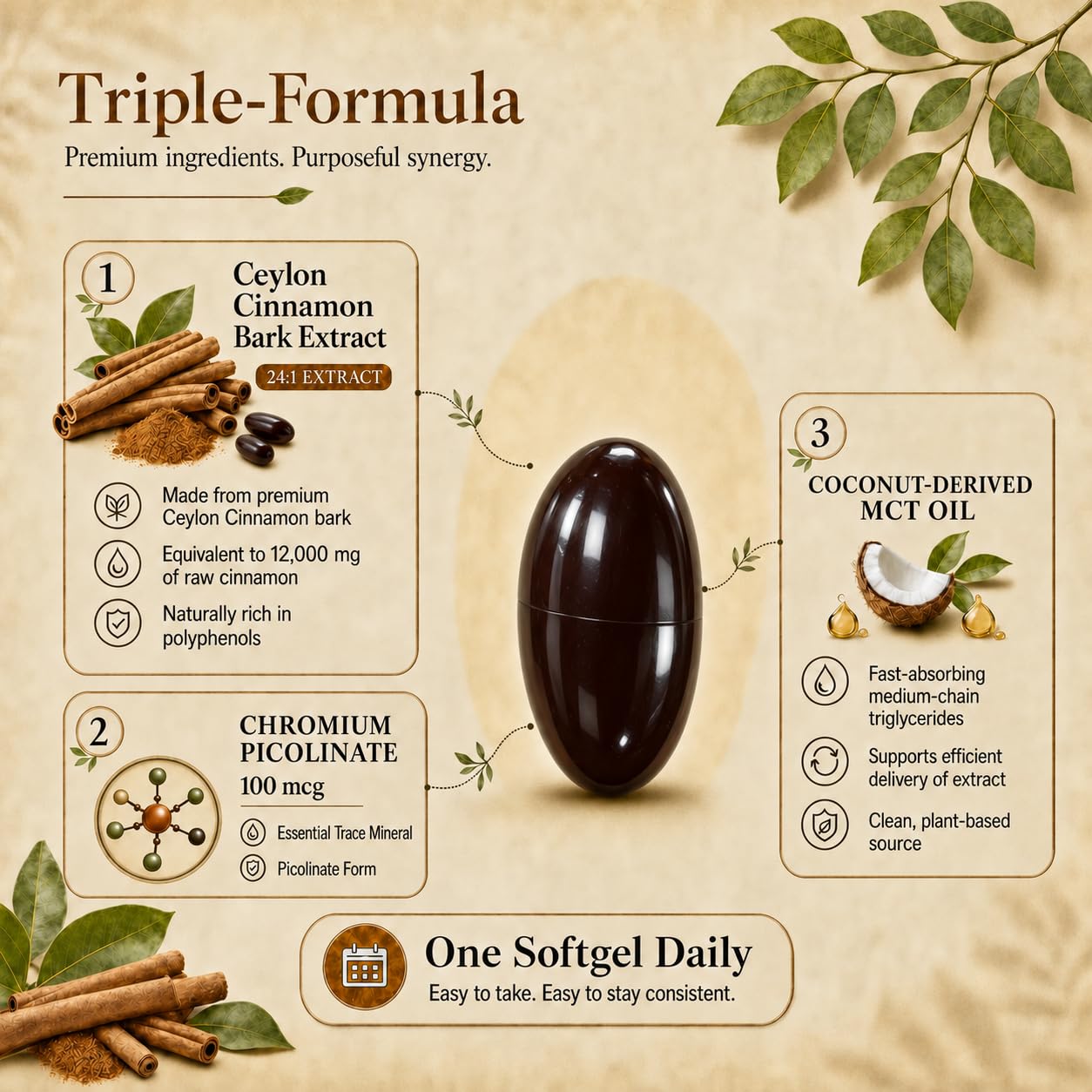 3-in-1 Organic Ceylon Cinnamon Supplement 24:1 Extract with MCT Oil 120 day — Amazon image 6