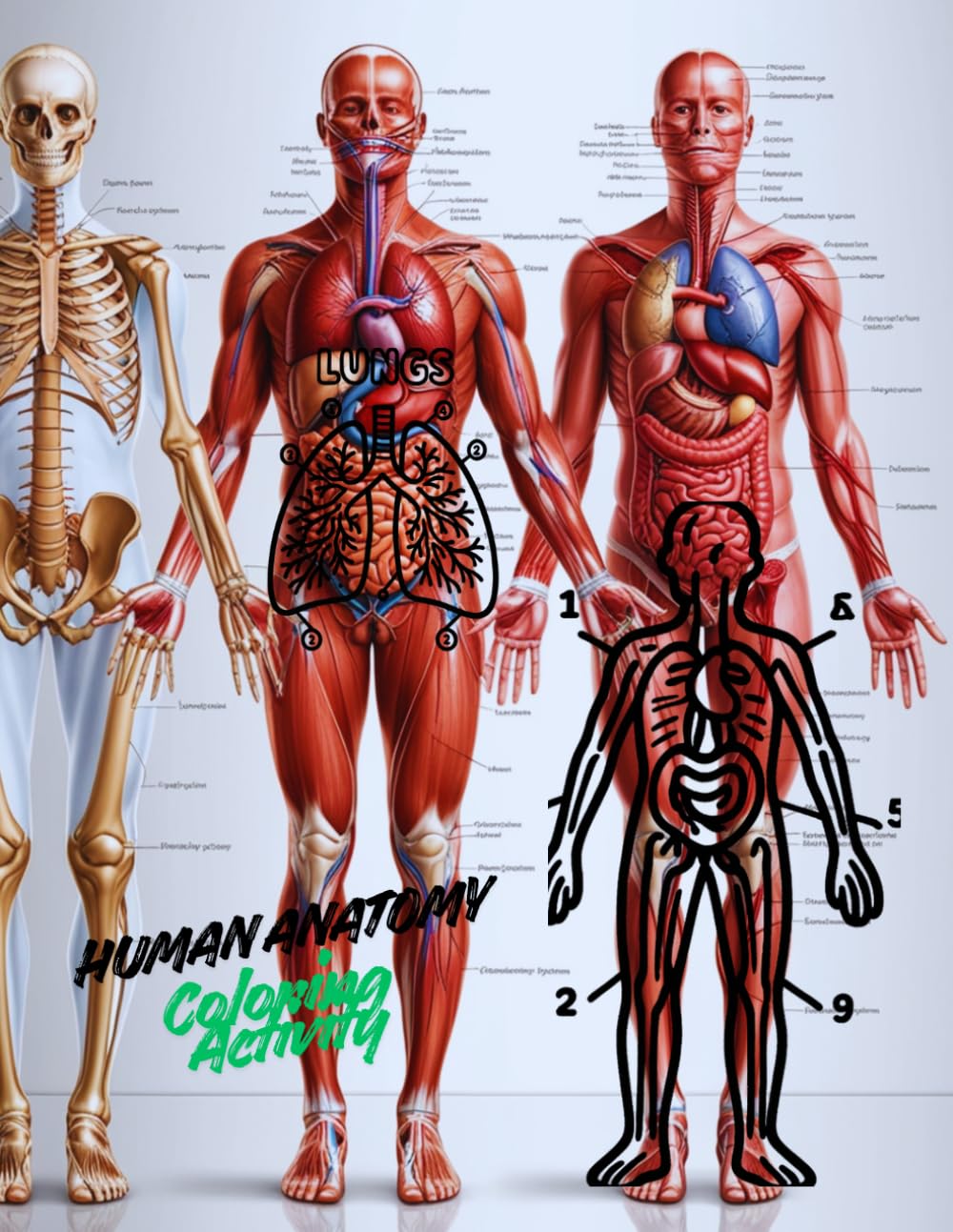 Human Anatomy Coloring Book: Fascinating Facts in an Anatomy and Physiology Workbook for Kids