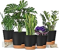 Vista 76 de GARDIFE 10/9/8 inch Plant pots, planters for Indoor Plants, self Watering Plant Pot, Flower pots, Black