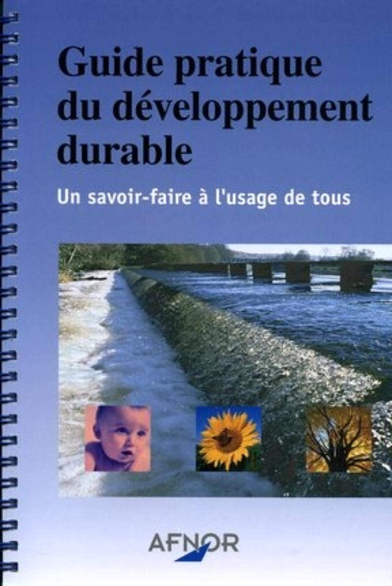 GUIDE PRATIQUE DU DEVELOPPEMENT DURABLE.UN SAVOIR FAIRE A L'USAGE DE TOUS: UN SAVOIR-FAIRE A L'USAGE DE TOUS