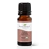 Plant Therapy Copaiba Oleoresin Organic Essential Oil 100% Pure, Undiluted, Natural Aromatherapy for Diffuser & Skin, Therapeutic Grade 10 mL (1/3 oz) Organic Copaiba Oil for Calming, Massage, Candles