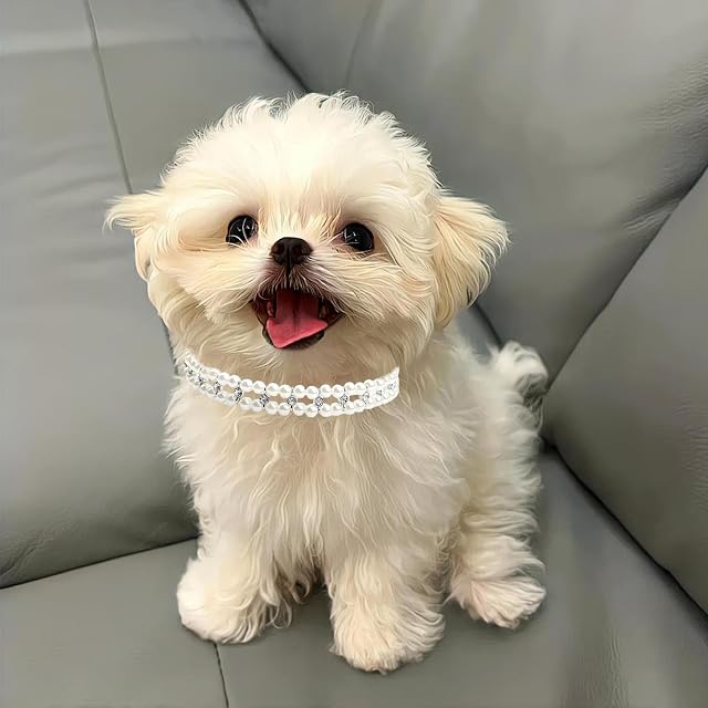 Foto 4 de 7 de Collares de perlas para perros pequeños, bonitos collares ajustables para gatos para niñas, gatos