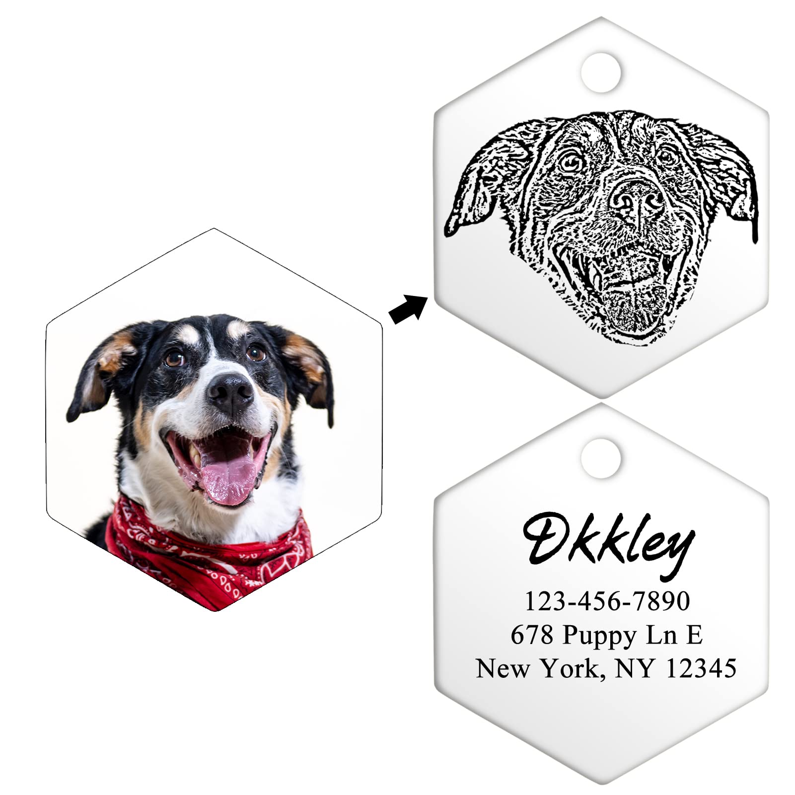 Personalized Pet Portrait Dog Tag, YEHANTI Stainless Steel Custom Dog Tags Pet Name Tag Dog Collar ID Tag, Hexagon Engraved Name Tag for Dog Cat, Unique and Meaningful Pet Gifts, (Silver, Small)