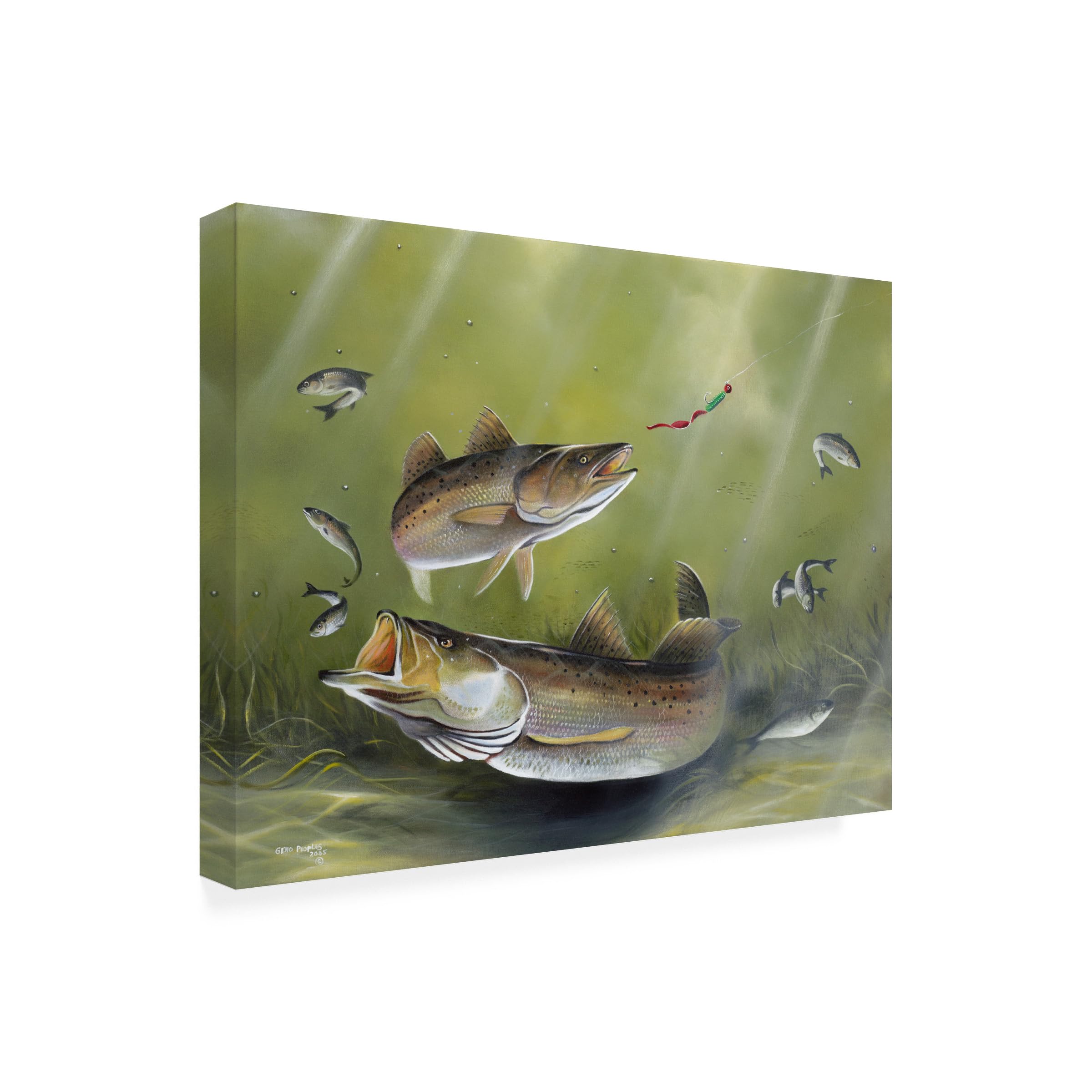 Wrapped Canvas Wall Art - Geno Peoples Speckled Trout Wall Art for Living Room Bedroom or Office D