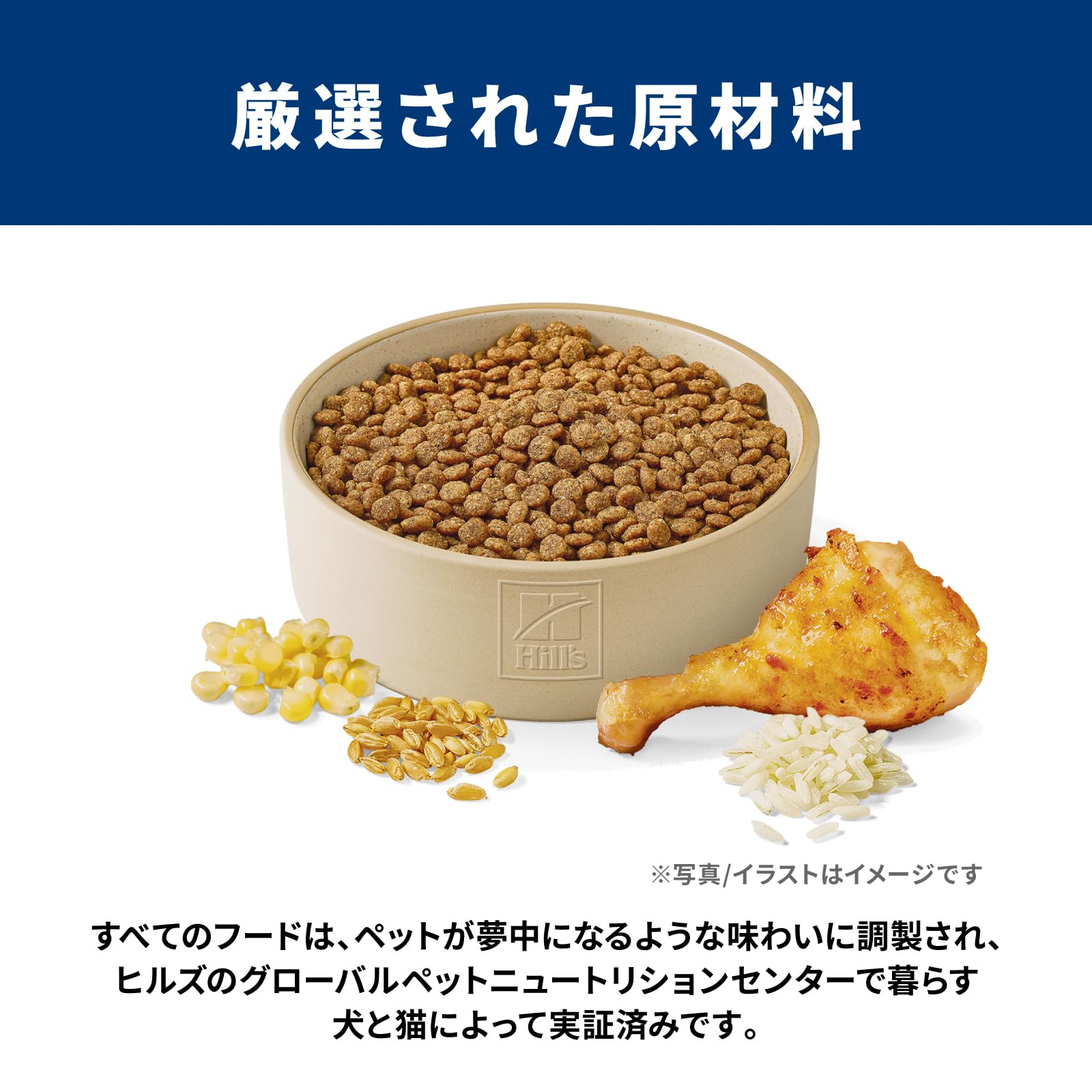 【在庫限り】Hill's サイエンスダイエット アダルト チキン3.3kg✖️3 サイエンス・ダイエット ヒルズ アダルト 小粒 1~6歳 成犬用 チキン