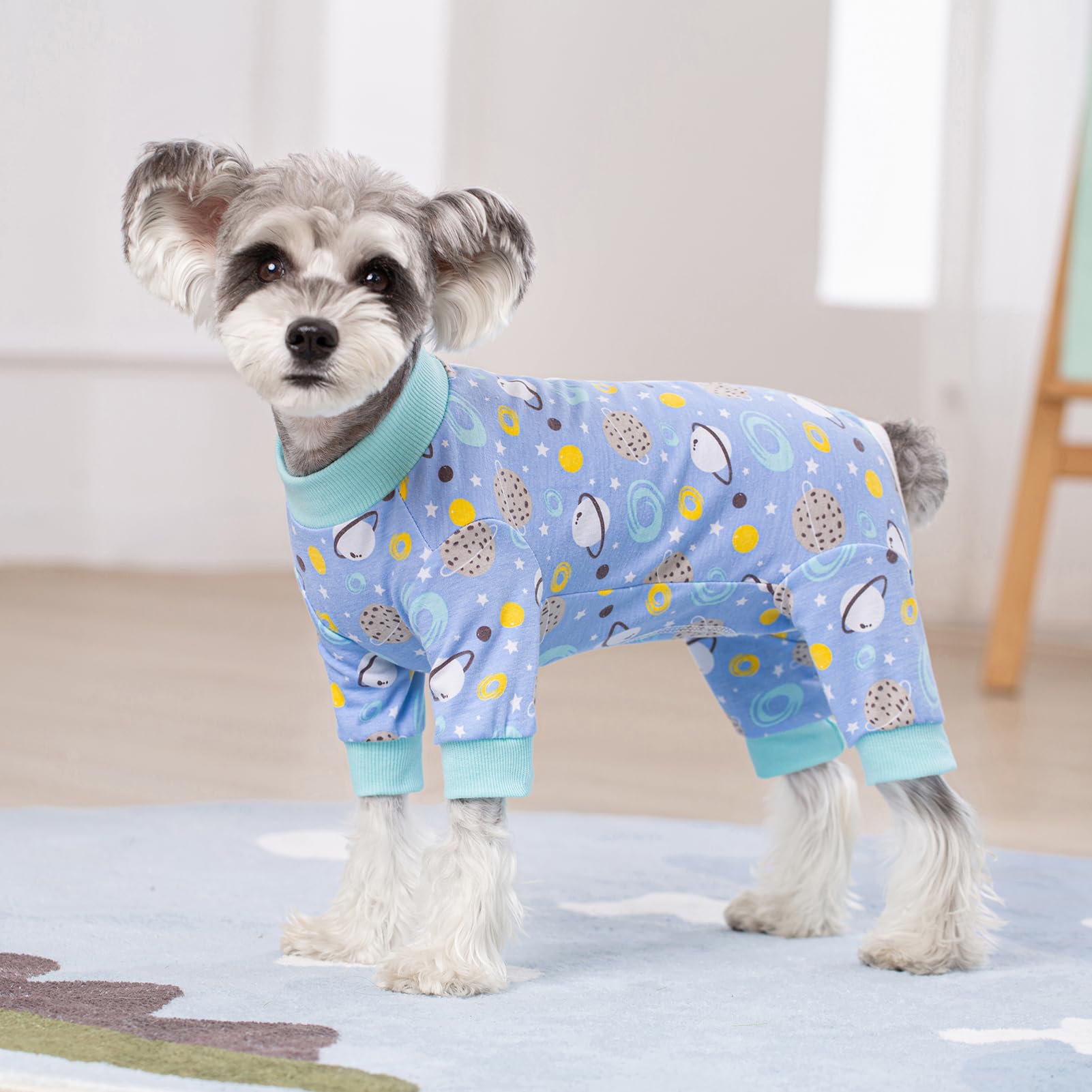 Amazon.com: Dog Surgery Recovery Suit, Dog Onesie for Surgery Female Male Dogs, Dogs Pajamas Long Sleeve, Small Dogs Onesie, Abdominal Wound Bandages Surgical Suit, Cat Recovery Suit for Shedding Skin Disease : amazon-com-dog-surgery-recovery-suit-dog-onesie-for-surgery-female-male-dogs-dogs-pajamas-long-sleeve-small-dogs-onesie-abdominal-wound-bandages-surgical-suit-cat-recovery-suit-for-shedding-skin-disease