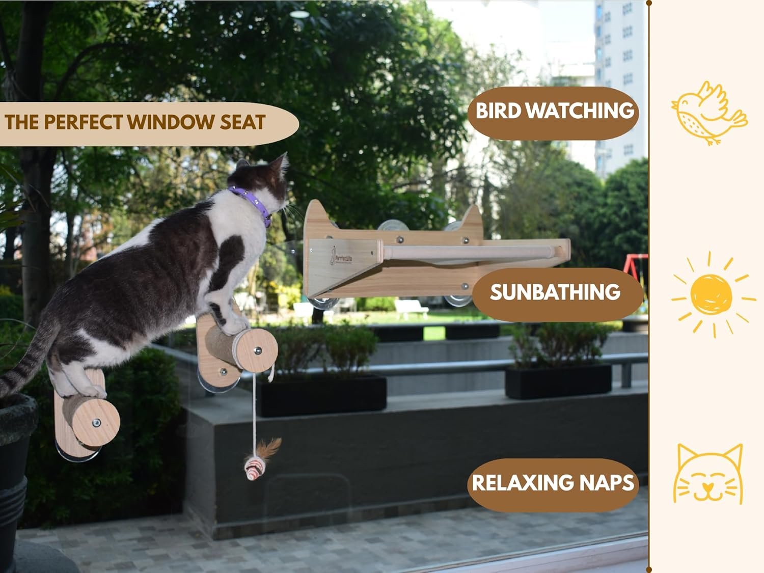 Cat Window Perch & Wall Hammock – 2-in-1 Solid Wood Window Seat with Strong Suction Cups & Wall Mount Option – Indoor Shelf with Climbing Steps + Hanging Toy