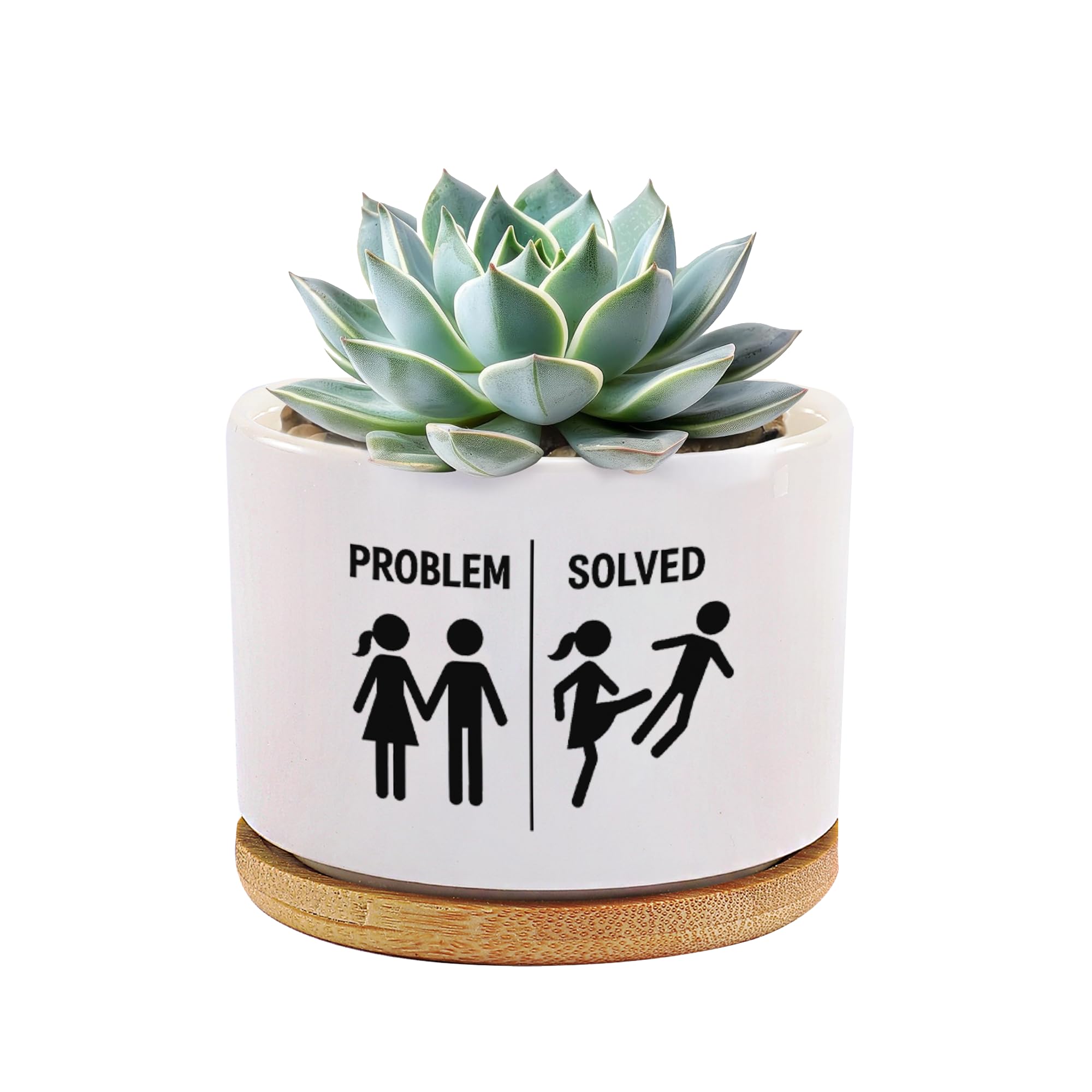 Pot de fleurs succulentes amusant en céramique pour bureau et maison
