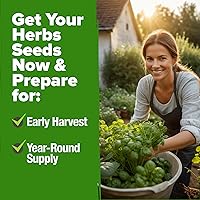 Vista 7 de Bóveda de 10 semillas de hierbas culinarias - Semillas criollas y sin transgénicos – Más de 3000 semillas para plantar en jardín de hierbas exterior
