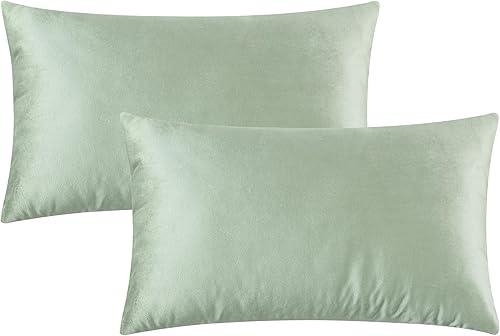 Vista 171 de GIGIZAZA - Juego de 2 fundas de almohada decorativas de 18 x 18 pulgadas, fundas de almohada cuadradas de terciopelo verde azulado pavo real