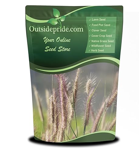 Outsidepride Perennial Northeast Native Grass Seed Mix - 1 lb.