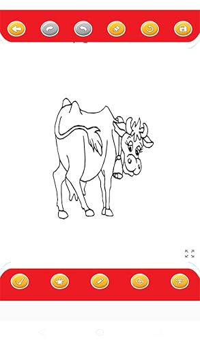 All Animals Coloring Book