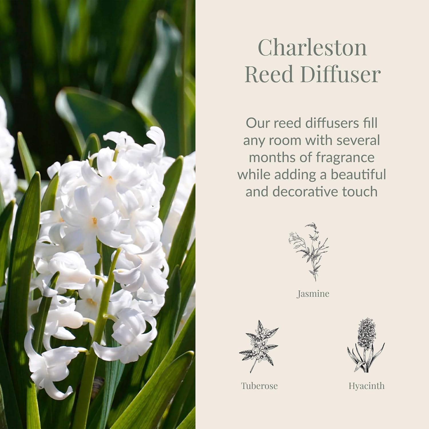 Archipelago Botanicals Charleston Reed Diffuser, Home Fragrance Reed Diffuser, Includes Fragrance Oil, Frosted Glass Vessel & 10 Diffuser Reeds, Perfect for Home, Office or Gift, 7.6 Fl Oz