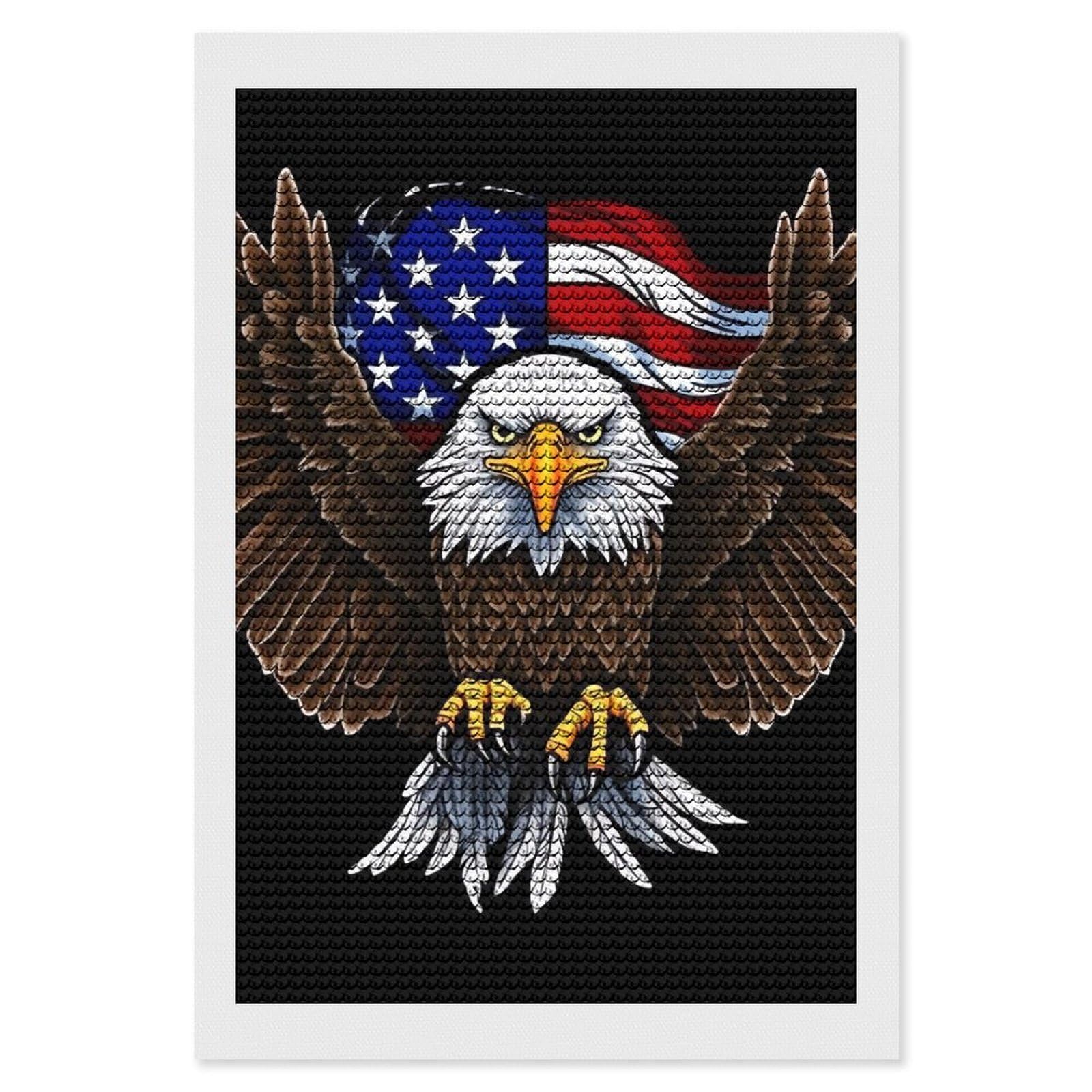 FodPand Diamond Art Kits for Adults, 5D Aurora Diamond Painting Kits for Beginners, USA Flag Patriotic Eagle DIY Full Drill Dots Gem Art Paint Crafts for Home Wall Decor 8"x12"