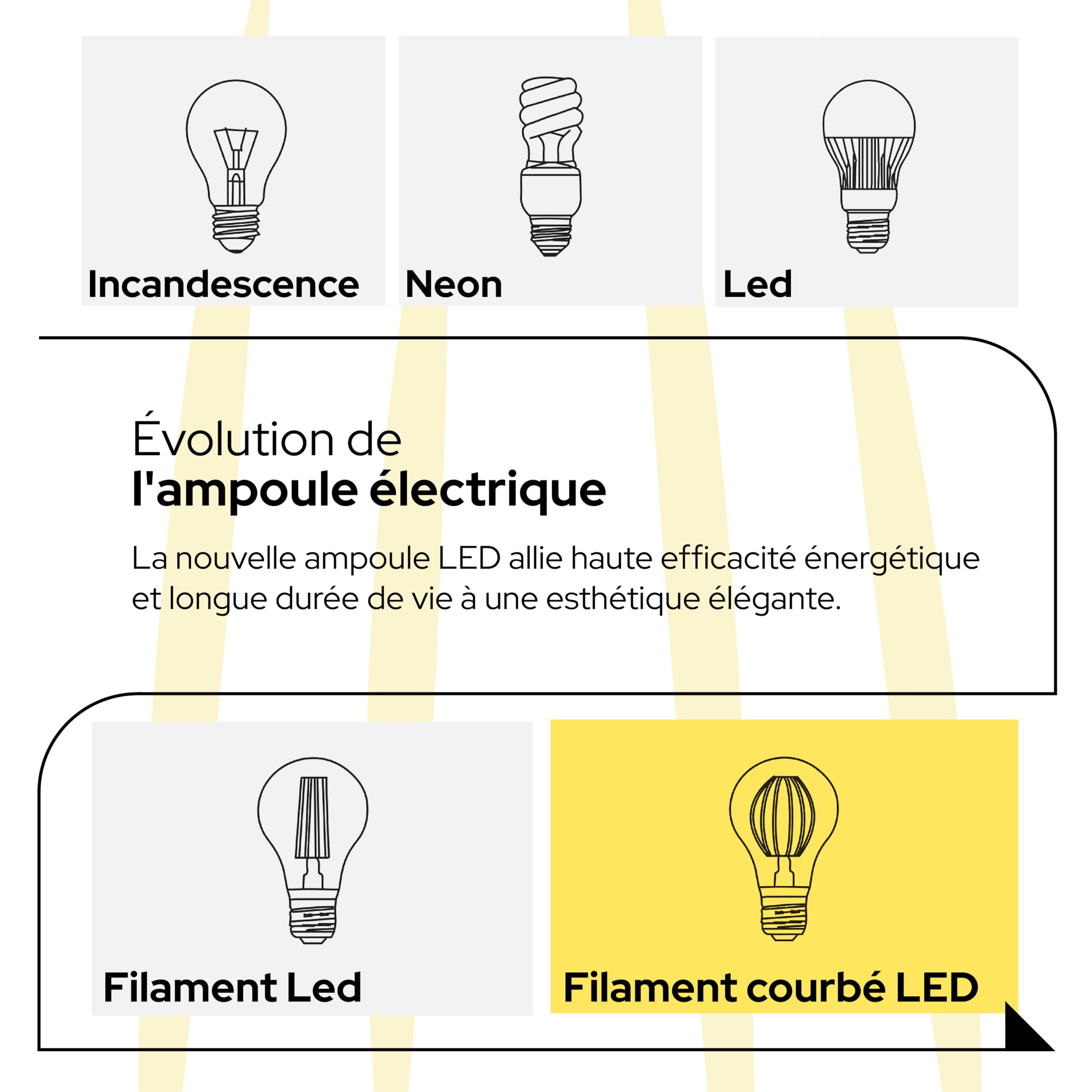 Ampoule Olive 6W Équivalent à 60W, E14, Verre Transparent, 2700K Lumière Chaude, filament LED droit, 780 Lumens, Lot de 10 pièces