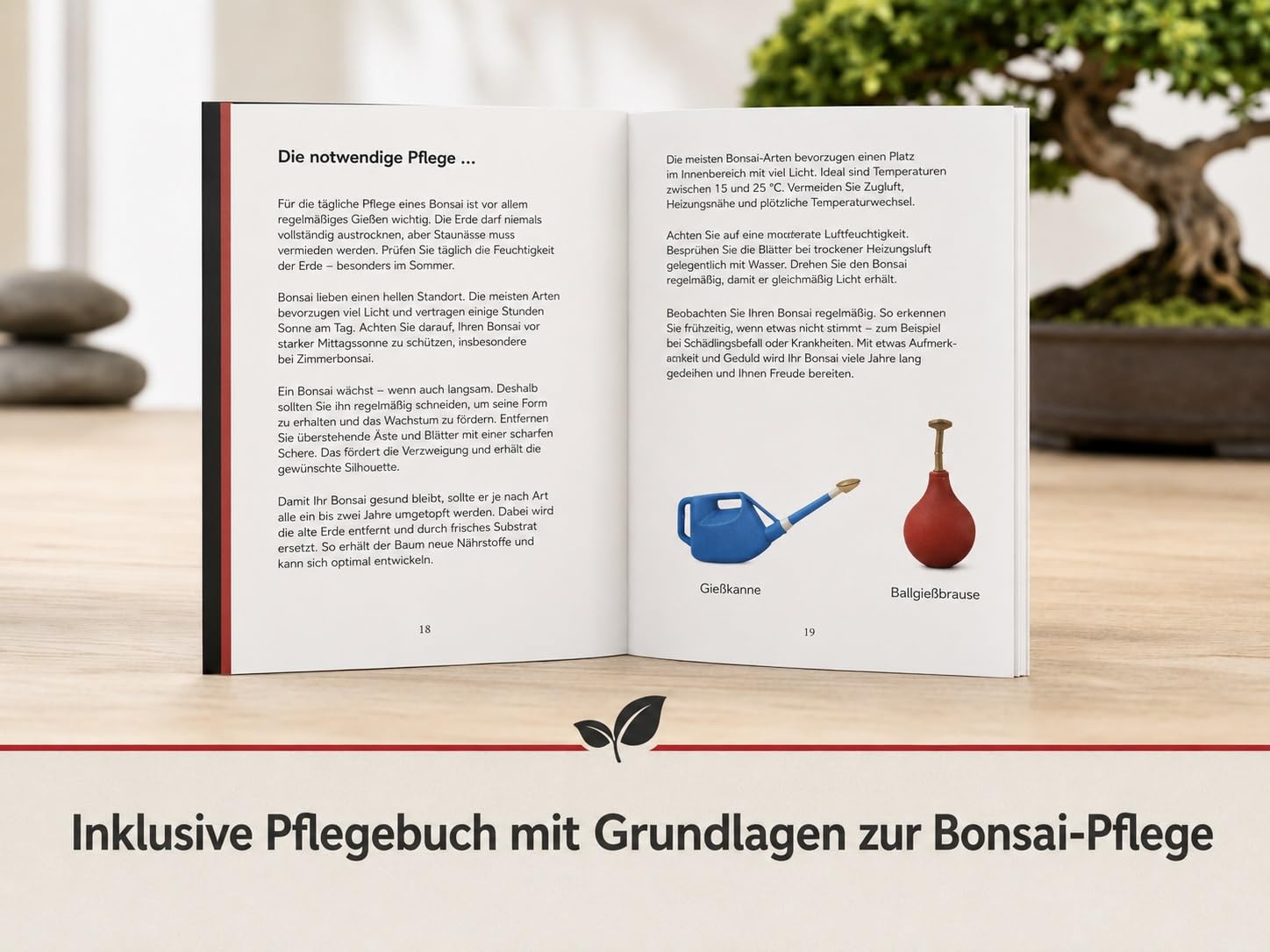 Chinesische Ulme Starterset 4-tlg. mit Schere & Pflegebuch | Zimmerbonsai, pflegeleichte Ulme, ideal für Anfänger, mit Untersetzer, 4-teiliges Komplettset für Zuhause