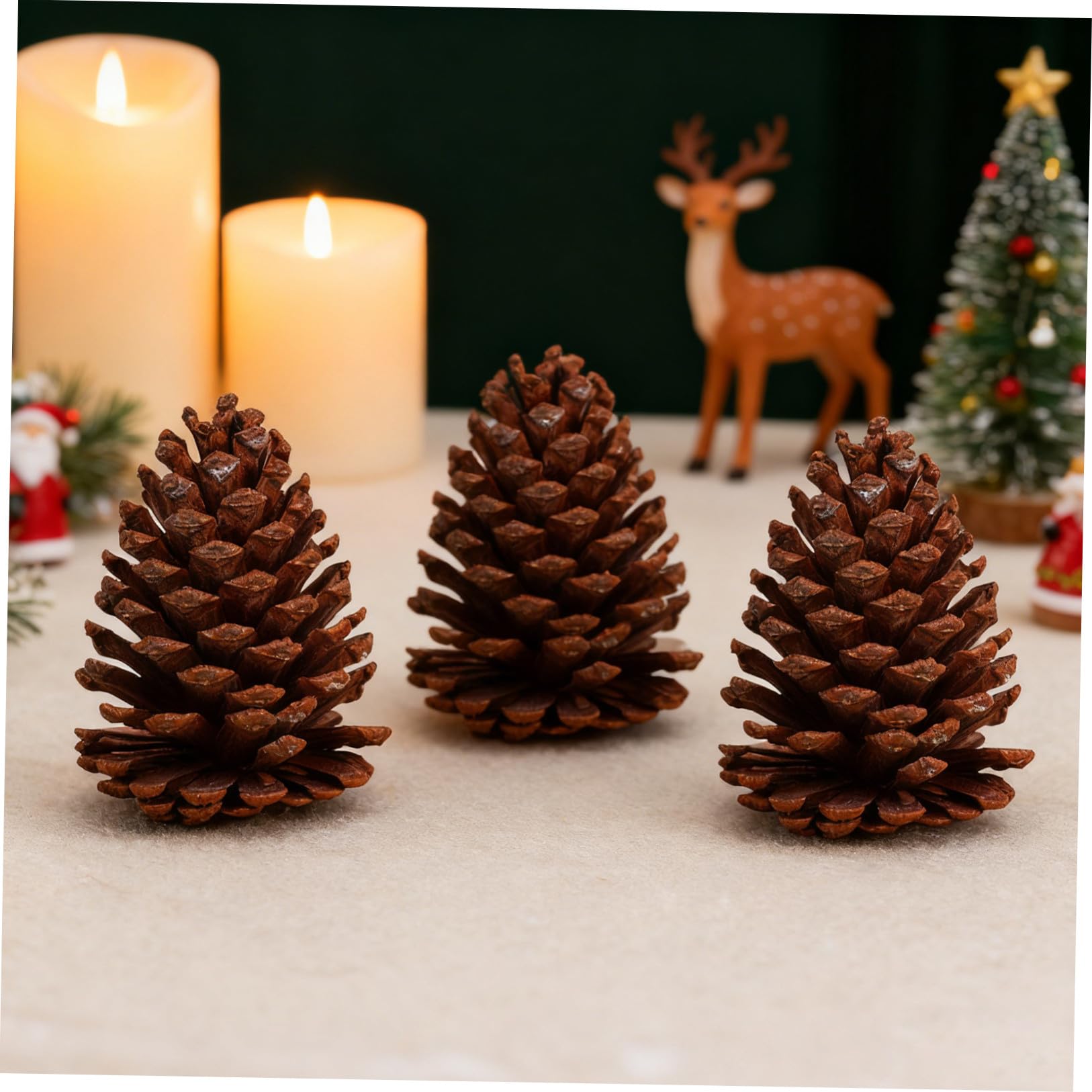 Kiefernzapfen Tannenzapfen 6 Stück Getrocknete Naturzapfen als Fotorequisite und Weihnachtsbaumschmuck für Handwerk und Deko