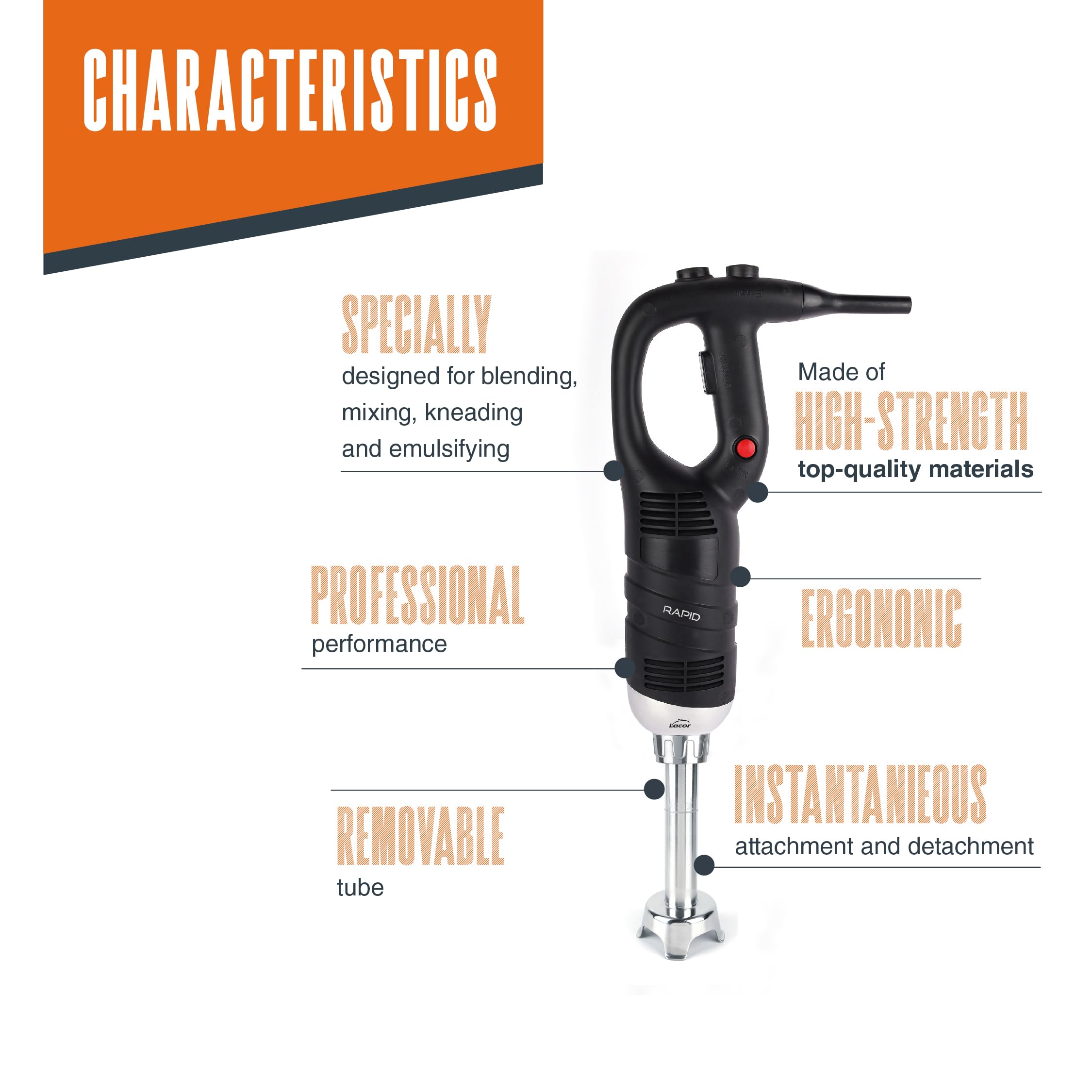 Lacor - 69905 - Frusta Rapida Professionale, con Braccio Frantoio Intercambiabile, Serie 450 W, Velocità 6.000-20.000 giri/min, Acciaio Inox, Capacità 30 L, 25 cm