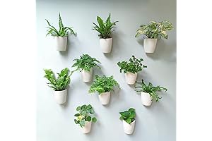 LaLaGreen Wall Planters for Indoor Plants