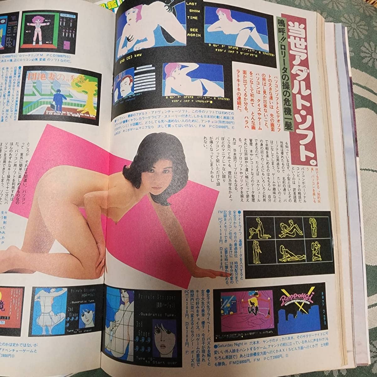 プレイボーイまとめ売り 週刊プレイボーイ 3冊まとめ売り 2013年 14号・20号・46号 もも