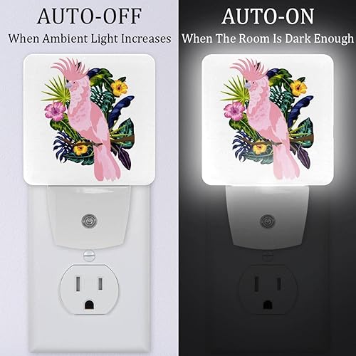 Miniatura 2 de Luz nocturna con enchufe de pájaro tropical, luces nocturnas LED regulables automáticamente, luces nocturnas brillantes para habitación de niños,