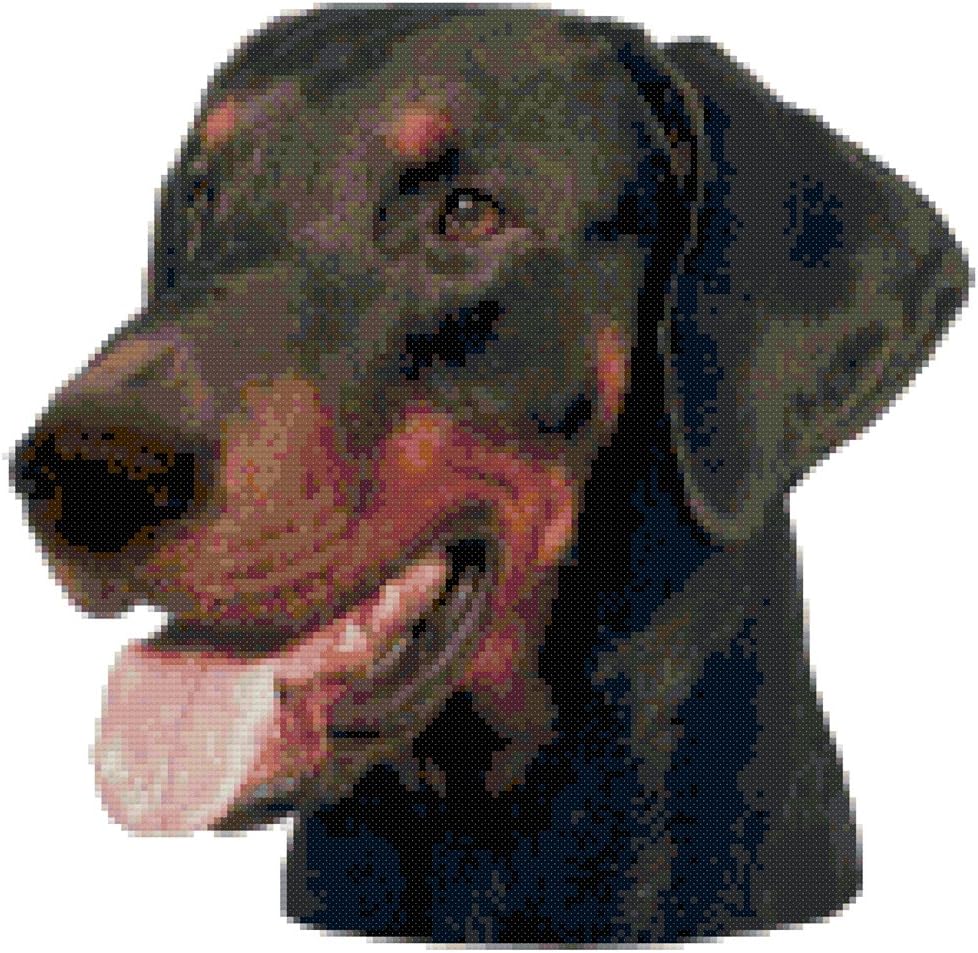 Black Doberman Pinscher Dog Portrait Counted Cross Stitch Pattern