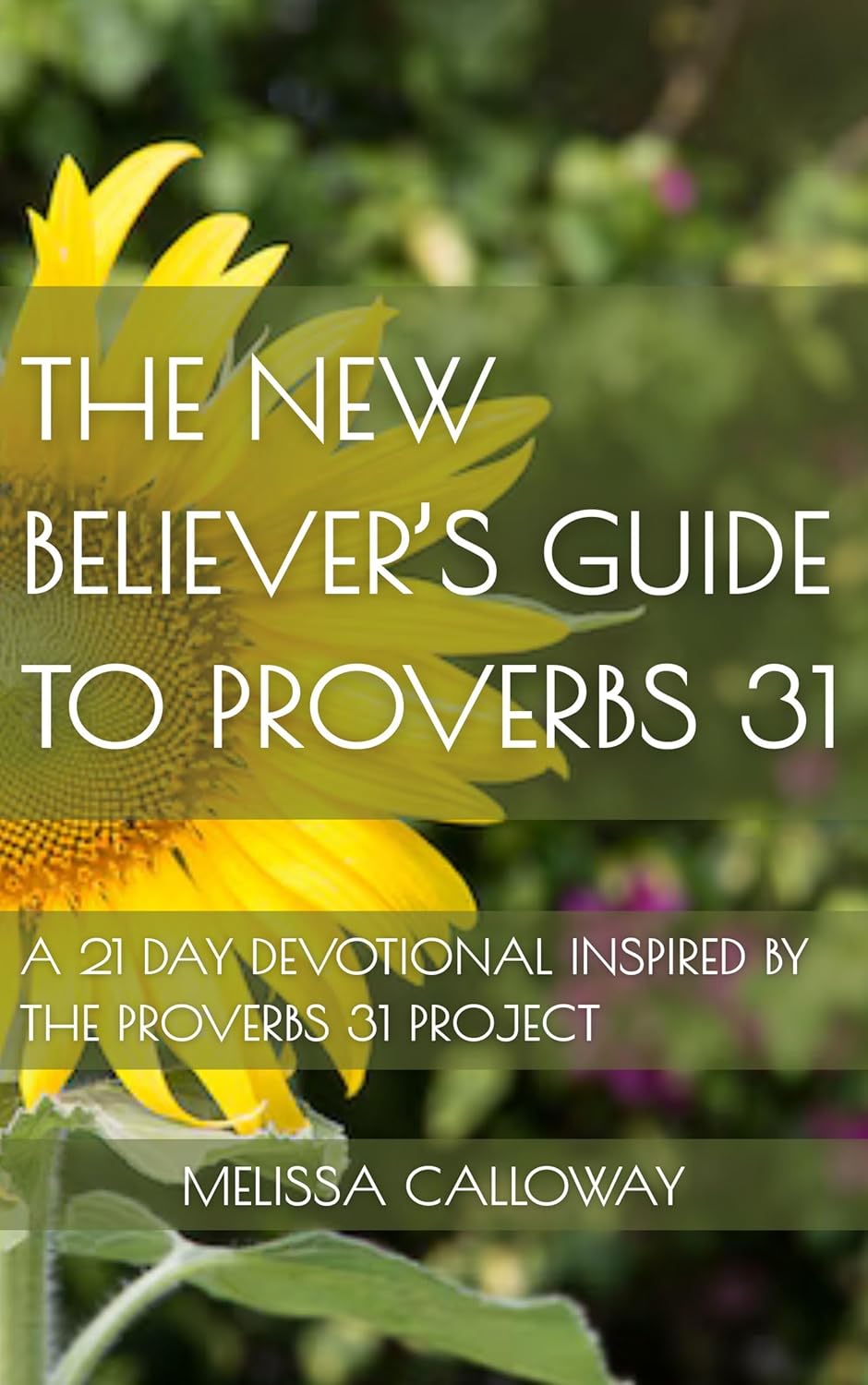 The New Believer's Guide to Proverbs 31: A 21 Day Devotional Inspired by the Proverbs 31 Project      Kindle Edition