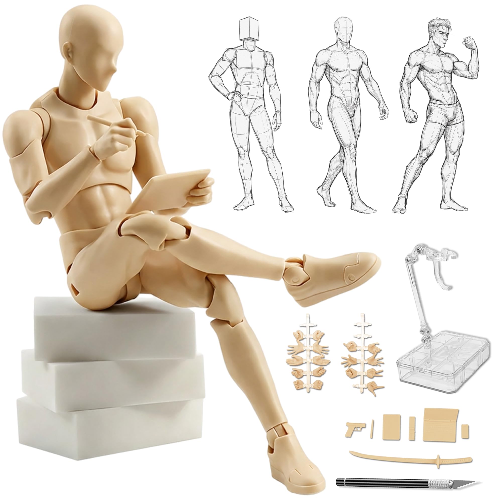 Amazon | CHALAN デッサン人形 漫画 30個関節可動 デッサンモデル