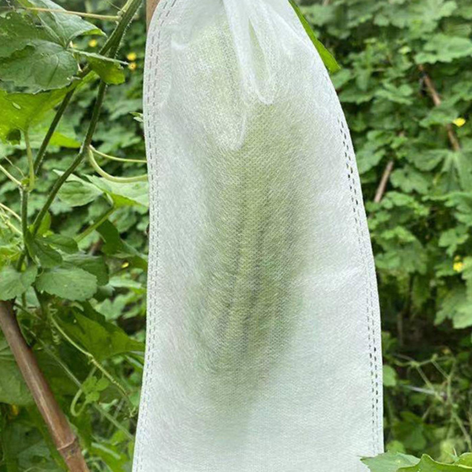 Fruit Protect - Bolsas de malla para tomates y uvas, 100 unidades, para jardín, antipájaros y CT Shield para árboles frutales, ideal para cosechar y cultivar