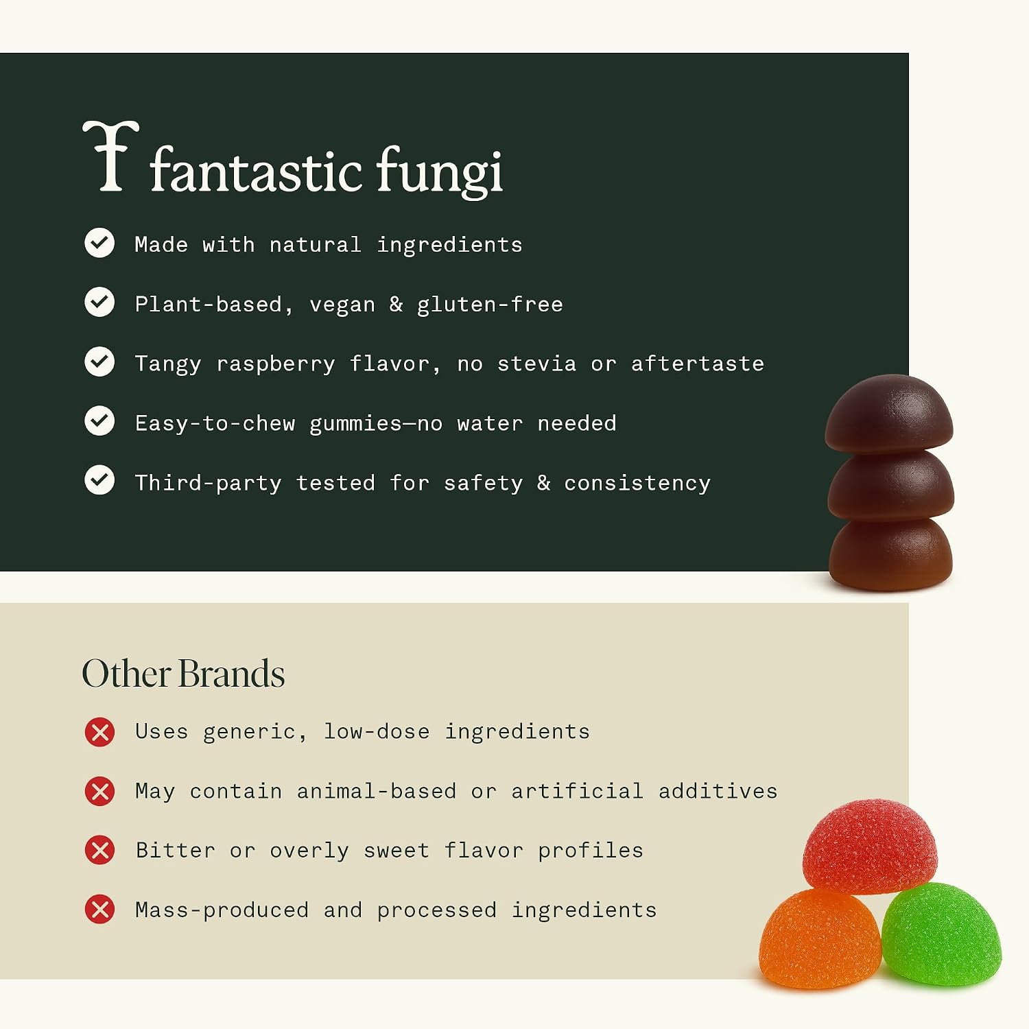 Fantastic Fungi Organic Mushroom Gummies for Focus & Memory, Lions Mane, Choline & Ashwagandha Gummies for Adults | Vegan, Sweet & Sour Flavor | 1 Month Supply | 60 Gummy Chewables