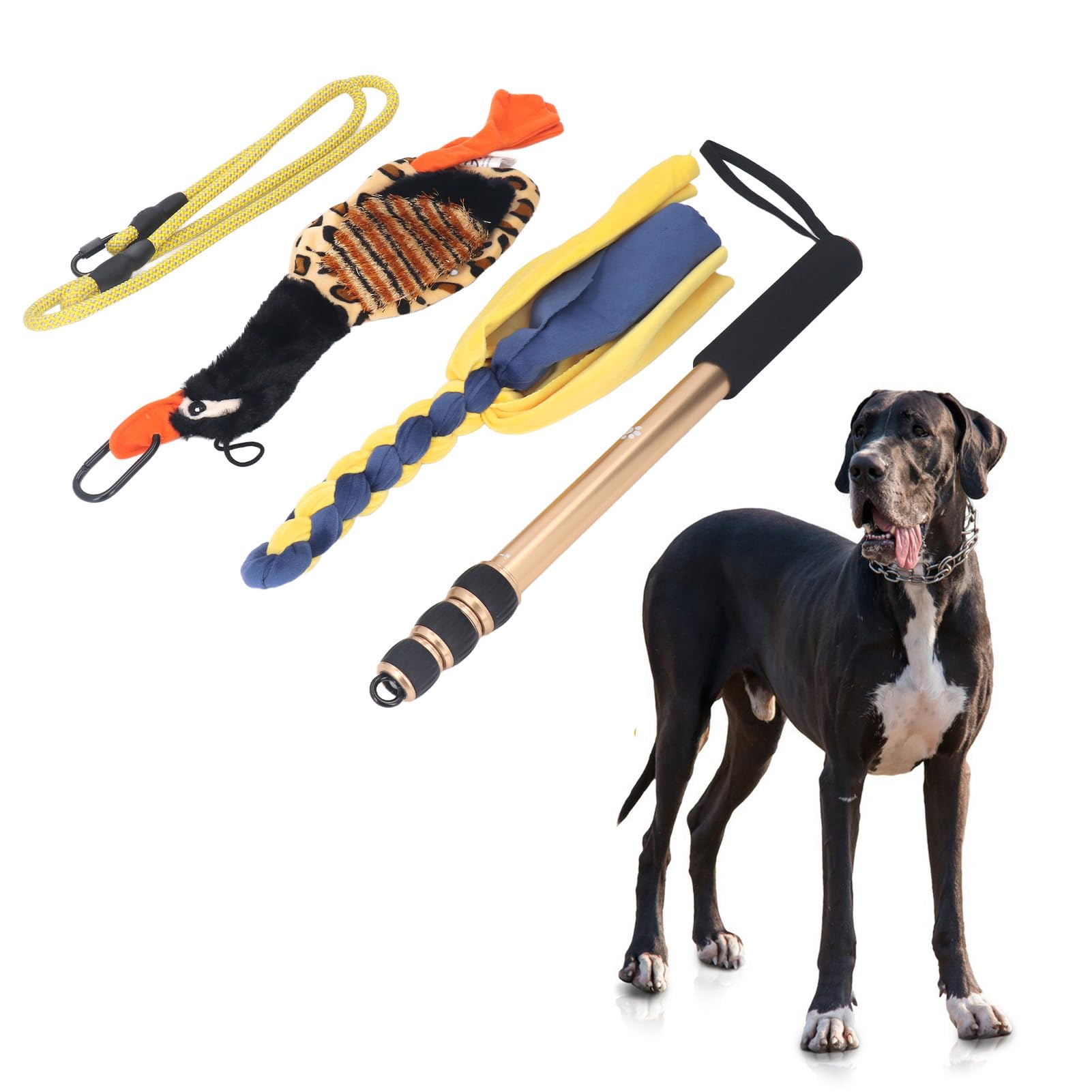 Palo telescópico para Perros, Palo de coqueteo de 52 Pulgadas, Varita Extensible interactiva para Perros, Ejercicio, Entrenamiento, Fuerza Muscular, Juego en Interiores y